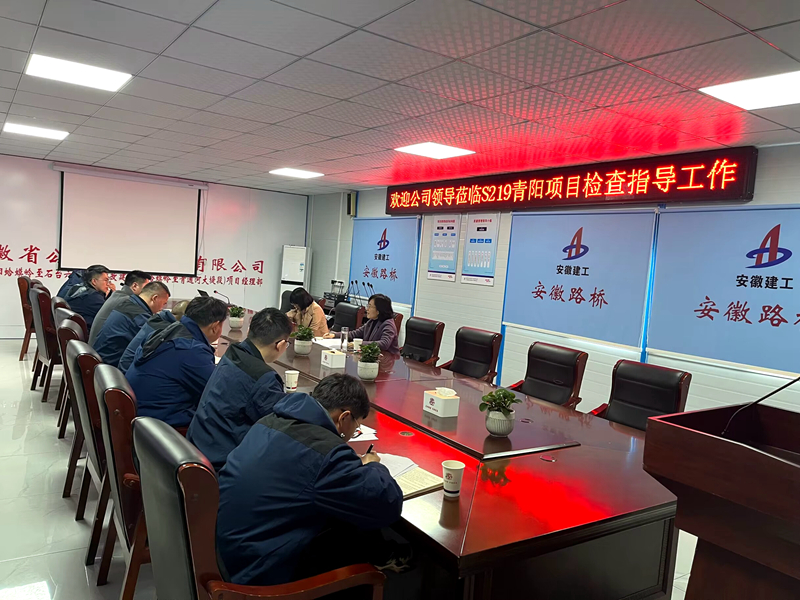 公司黨委委員、紀委書記王鵬到S219青陽改建項目調(diào)研指導(dǎo)工作